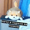 ХаосШиба