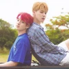Jikook and Bts story