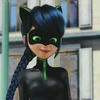 Ledy Koshka