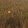 loneliness0