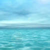 lin_si2007