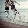 _Vogel