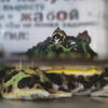 The_Toad_Is_Suffocating