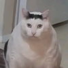 эзщ