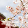 Lee_ Ming