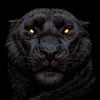Black panthers crimes
