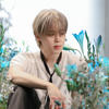tin_seyon