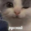 Stoyanka1