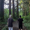 lost_for