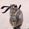 Холодный Токсик