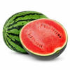 arbuzz_