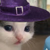 phistashka_